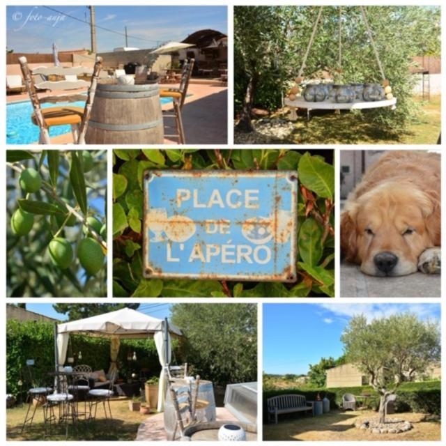 Les Secrets Du Mistral Bed and Breakfast Valensole Exteriör bild